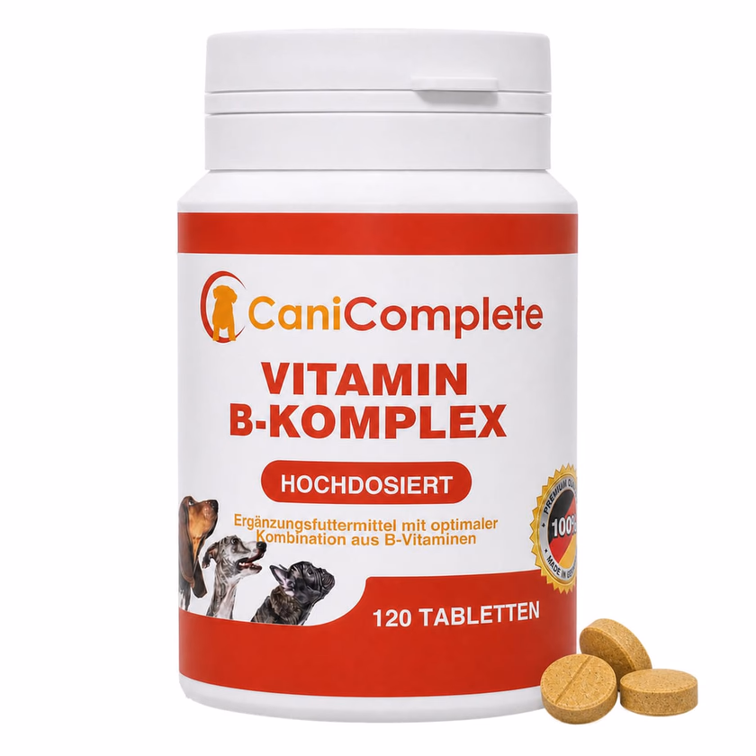 Dose Vitamin B-Komplex mit 120 Tabletten, daneben drei lose Tabletten