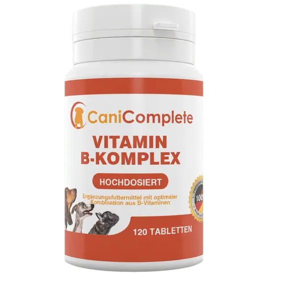 Dose Vitamin B-Komplex mit 120 Tabletten, daneben drei lose Tabletten