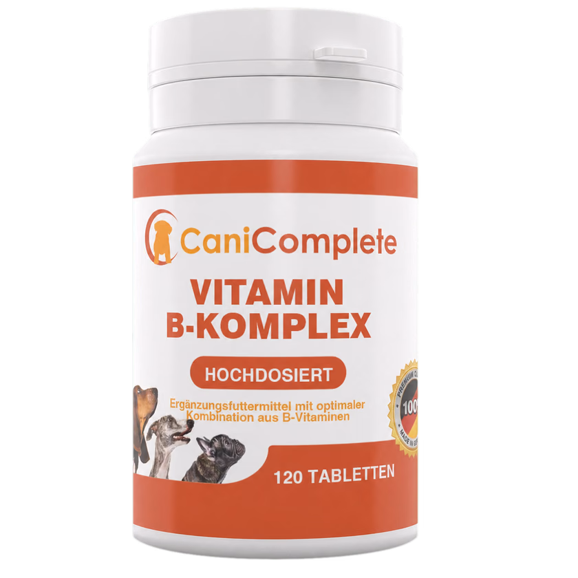 Dose Vitamin B-Komplex mit 120 Tabletten, daneben drei lose Tabletten